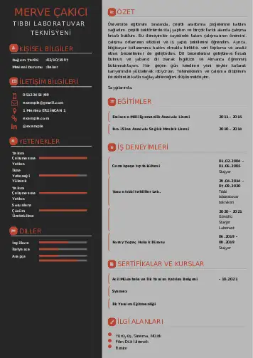 Laboratuvar Teknisyeni Cv Örnekleri cv indir